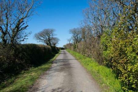 Crackington Haven Hallagather Farmhouse المظهر الخارجي الصورة